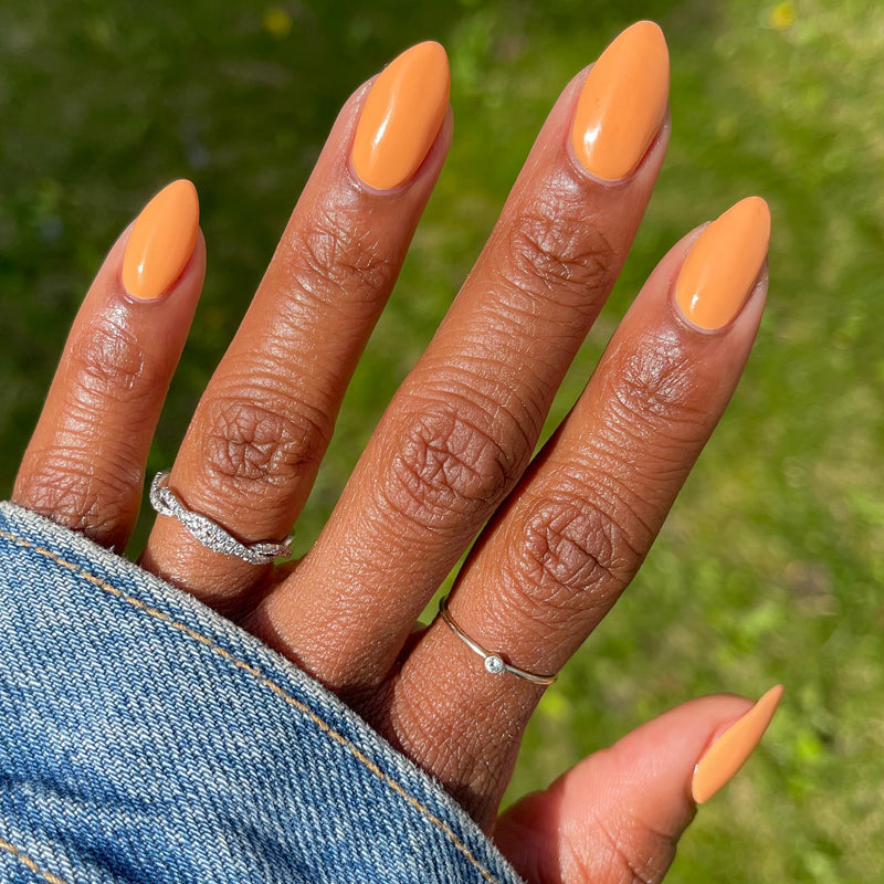 picture of Counselor In Training