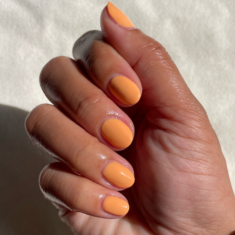 picture of Counselor In Training