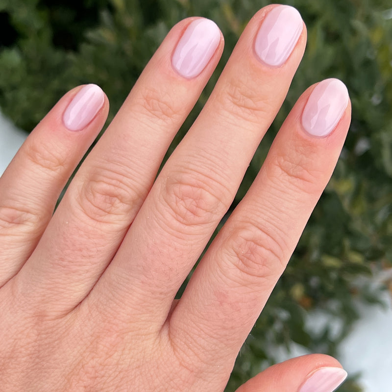 picture of Strawberry Scone