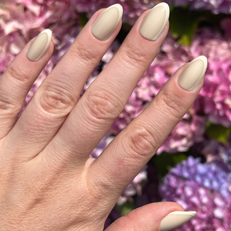 picture of Coffee French | Almond | Medium