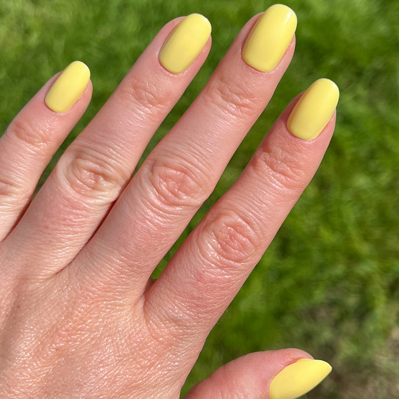 picture of Bright & Focused | Round | Short