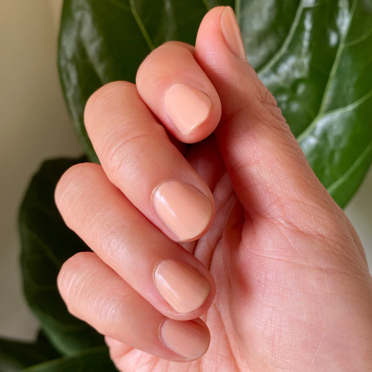 Hand with nails coated in JO polish showcasing a creamy dusty apricot shade for a fresh at-home manicure look