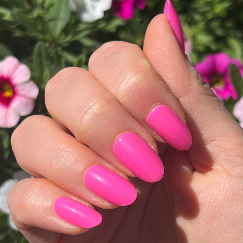 picture of Neon Flamingo | Oval | Medium