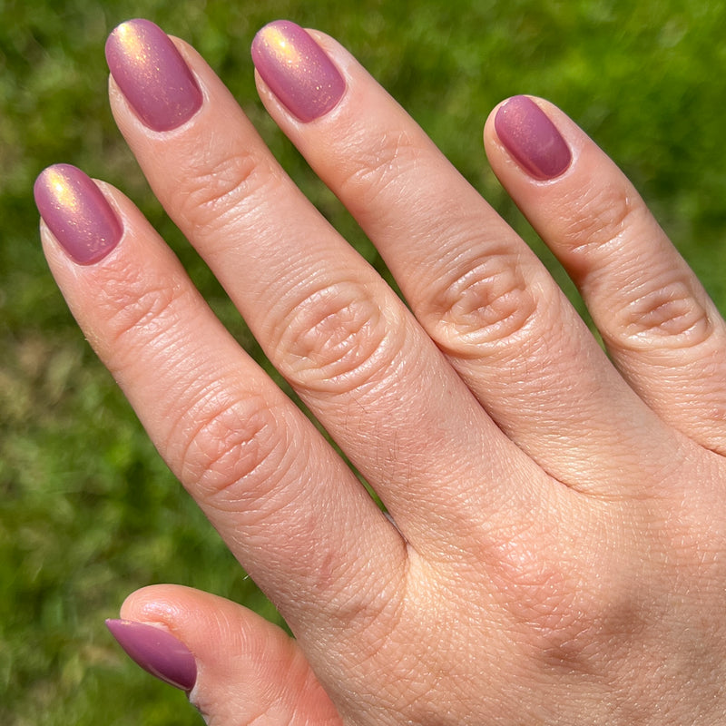 picture of Baby Starfish | Round | Extra Short