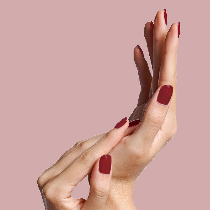 Cozy Up a Creme Reds  Cozy Up