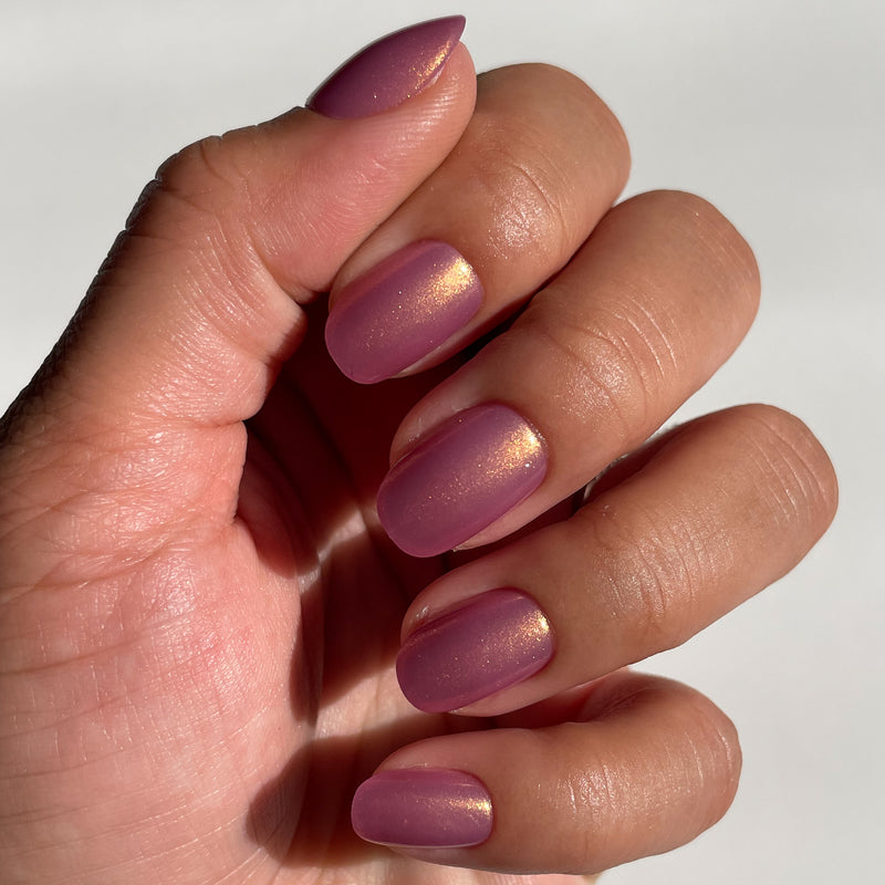 picture of Baby Starfish | Round | Extra Short