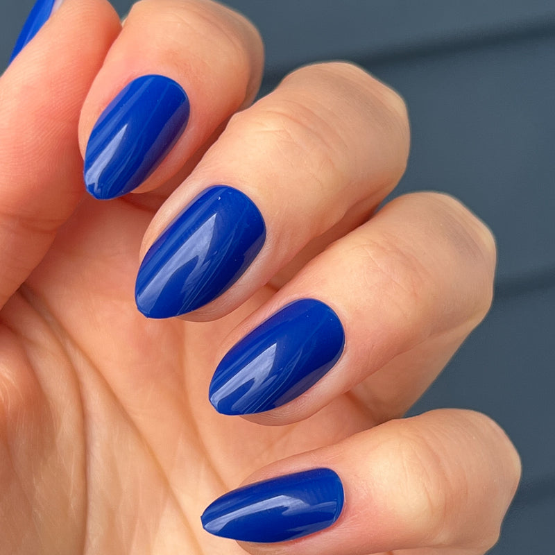 picture of Blueberry Muffin | Almond | Medium