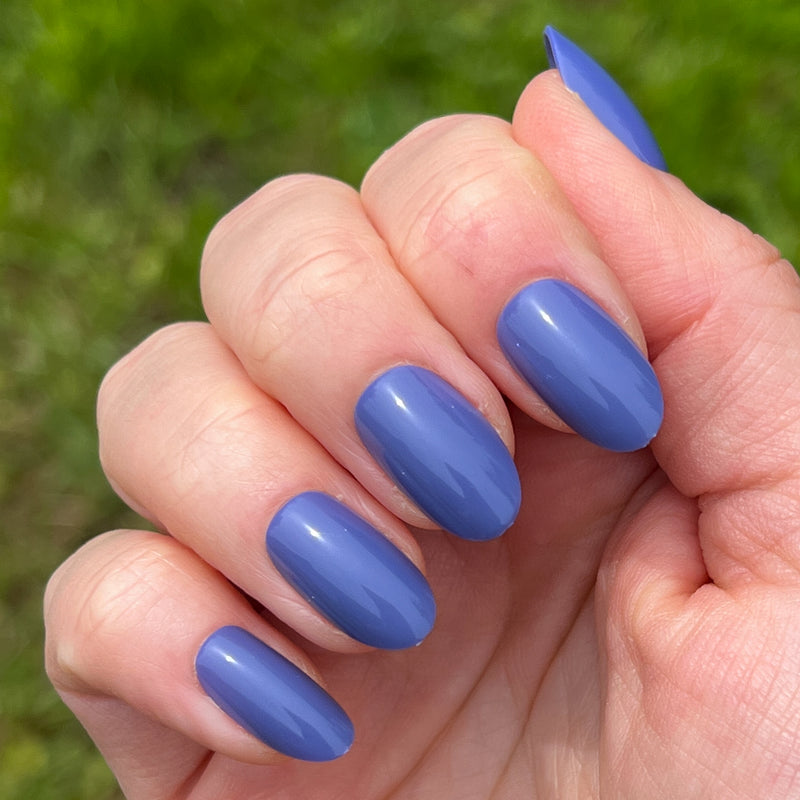 picture of CNH | Oval | Medium