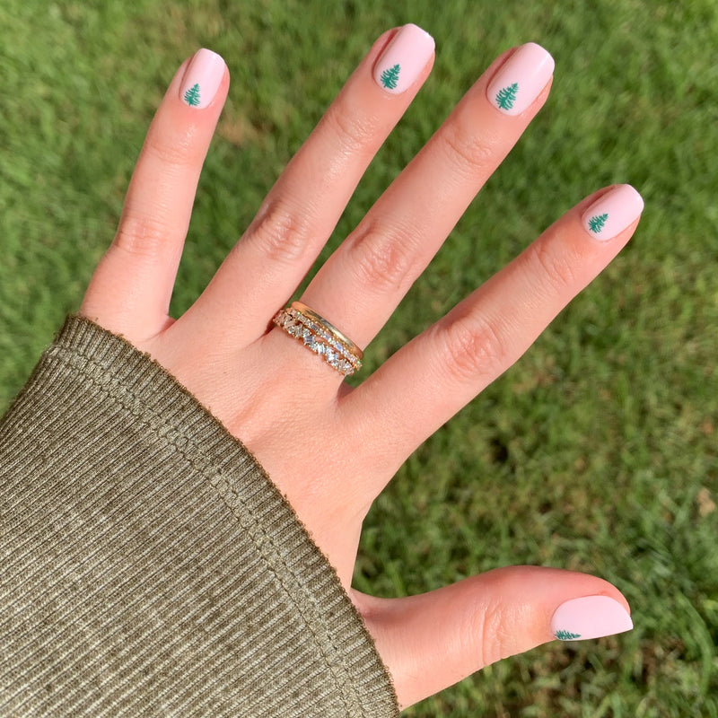 picture of Evergreen Tree | Squoval | Extra Short