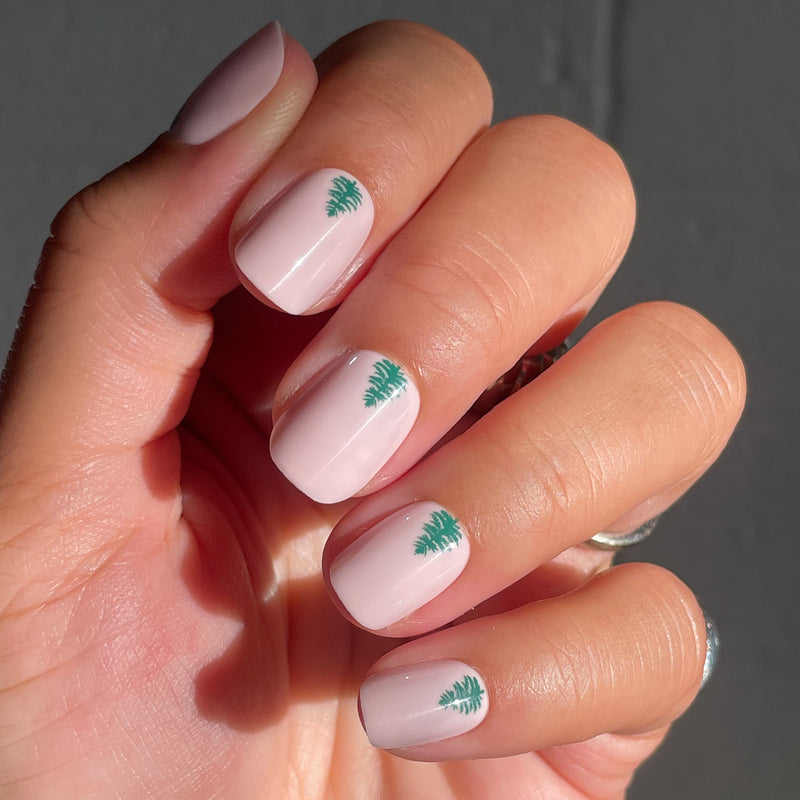 picture of Evergreen Tree | Squoval | Extra Short