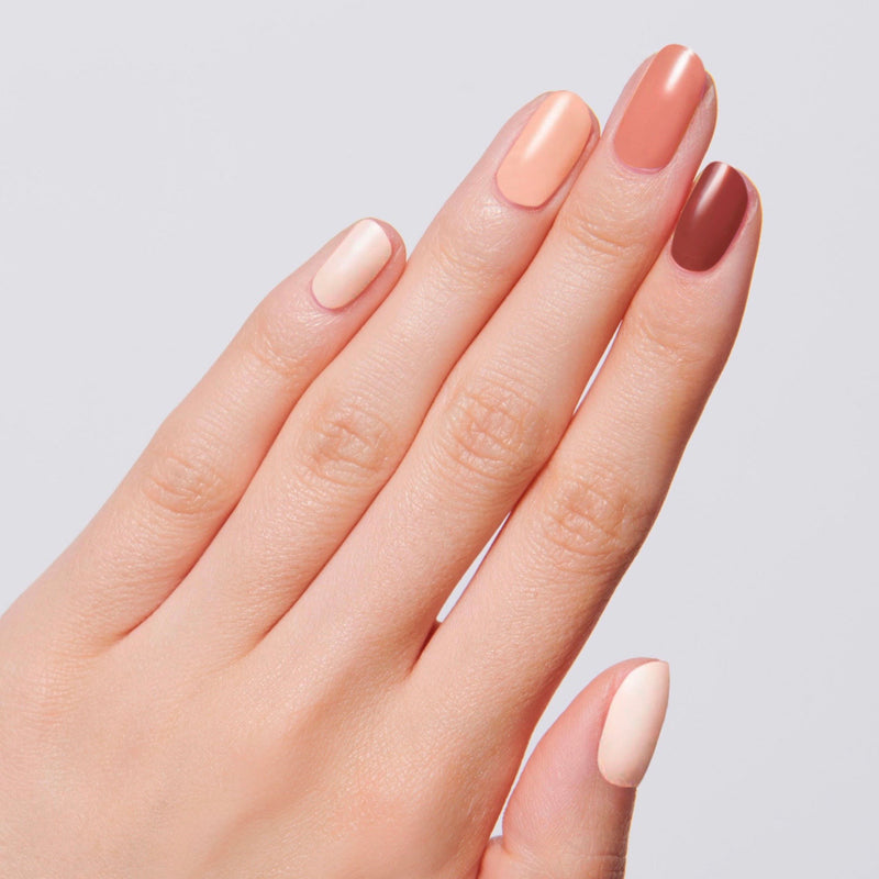 Pumpkin Spice Latte Set