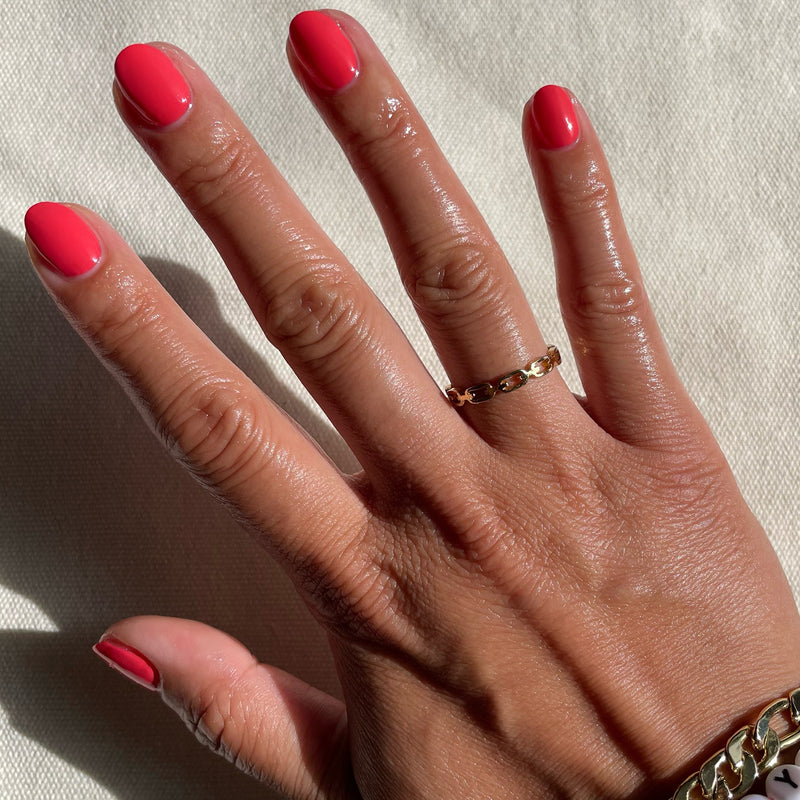 picture of Field Day