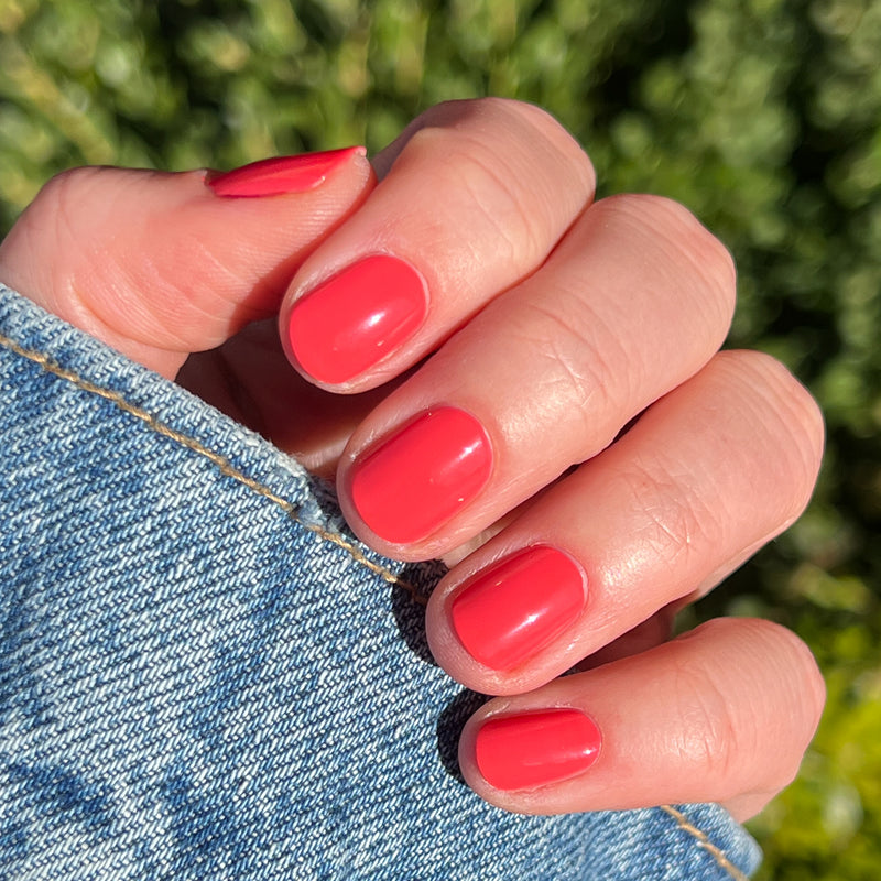 picture of Field Day