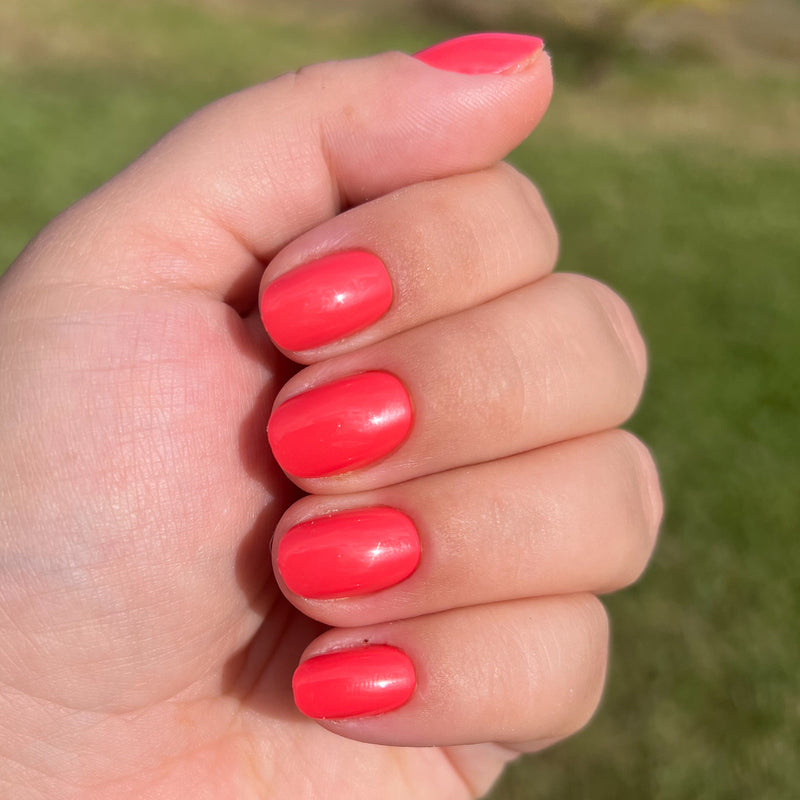 picture of Field Day | Round | Extra Short