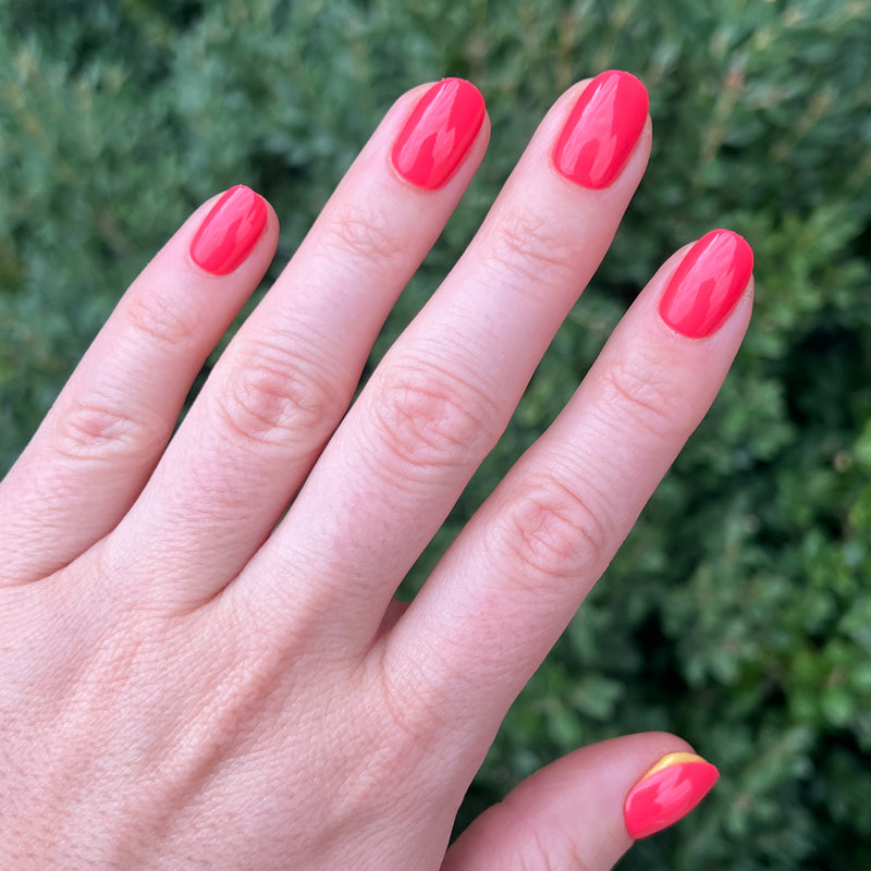 picture of Field Day | Round | Extra Short