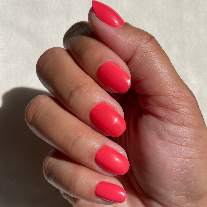 picture of Field Day | Round | Extra Short