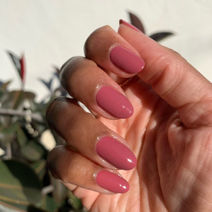 Rhubarb Pink+Cream Pom Pom Trimming – O L I V E + D A I S Y