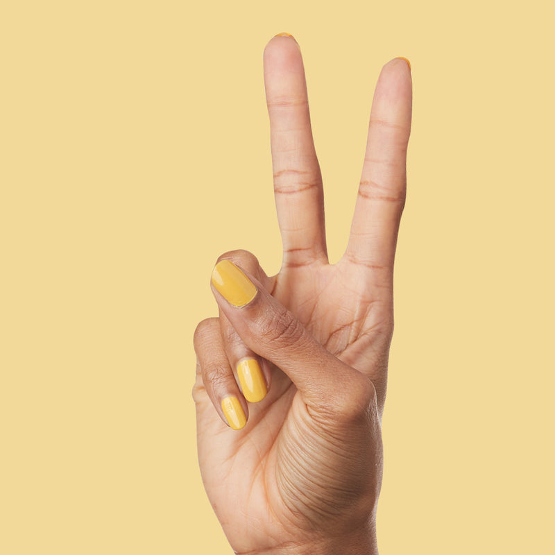 Golden Afternoon a Creme Yellows  Golden Afternoon