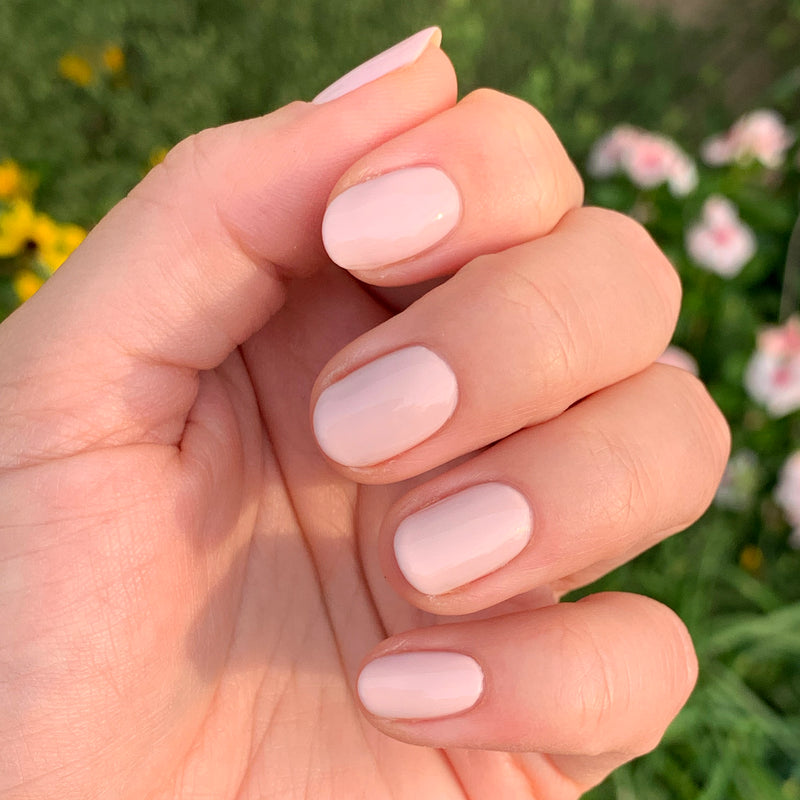 picture of Point Dume