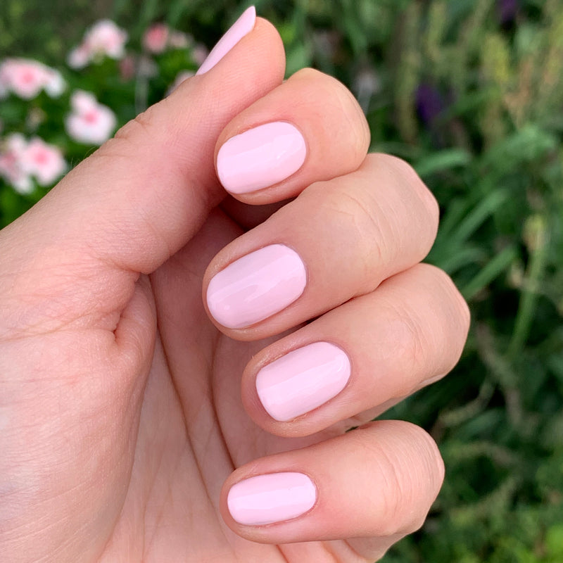 picture of Rose Valley