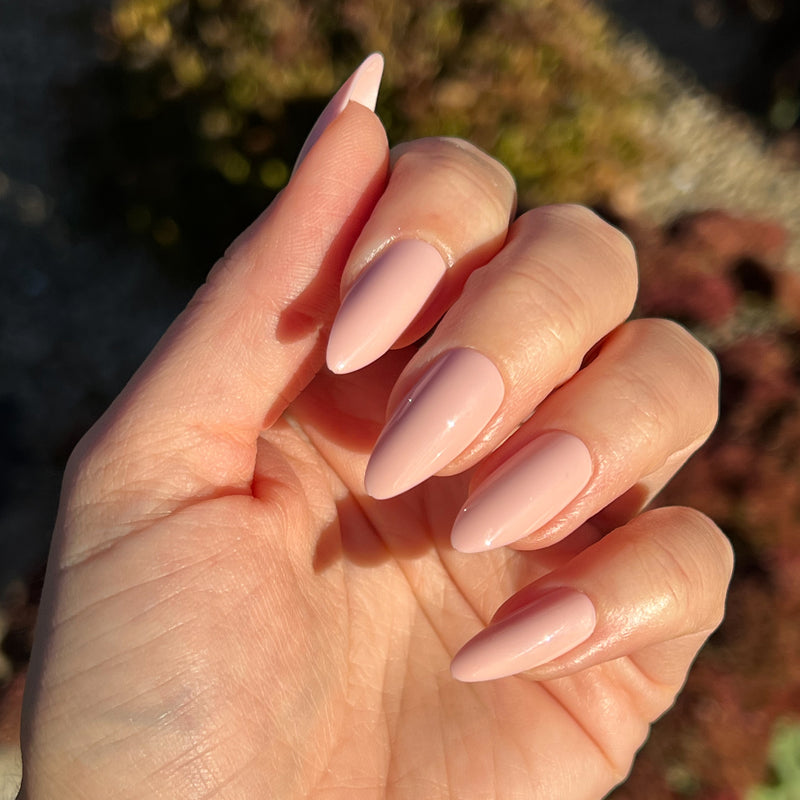 picture of KAG - Press-On | Long | Almond