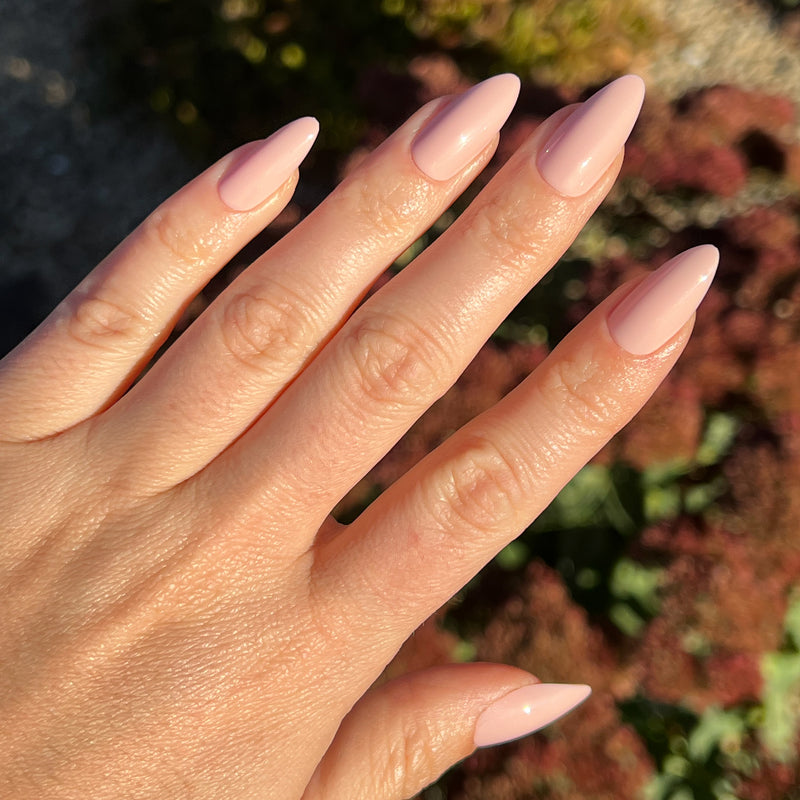 picture of KAG - Press-On | Long | Almond