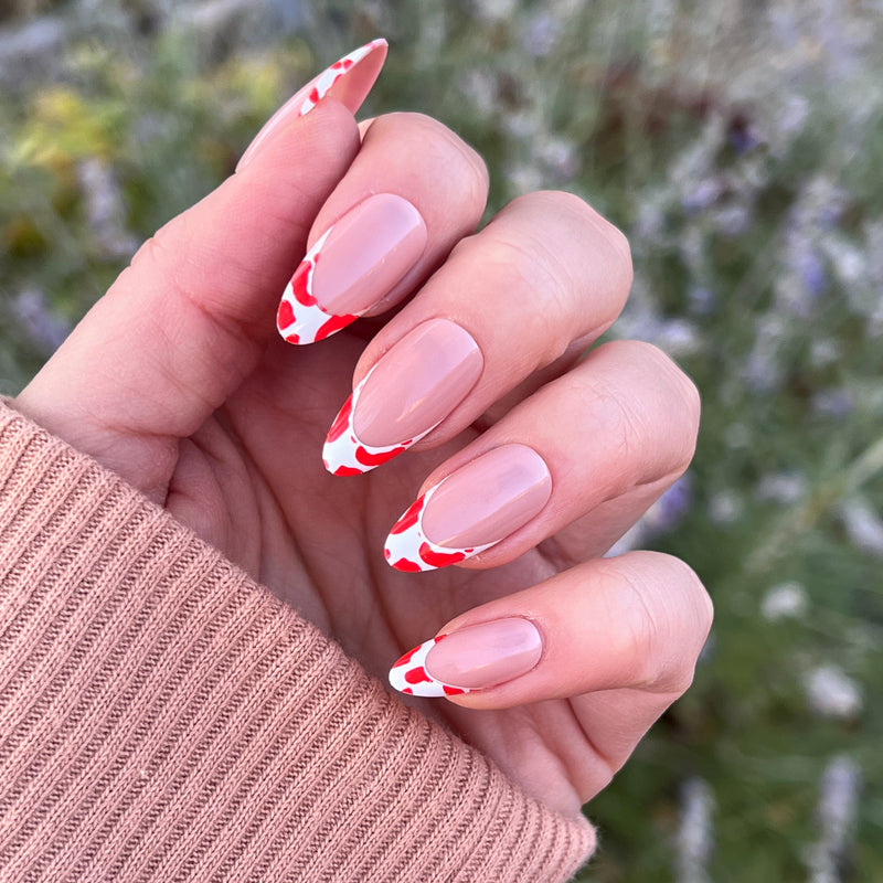 picture of Cheetah French - Press-On | Long | Almond