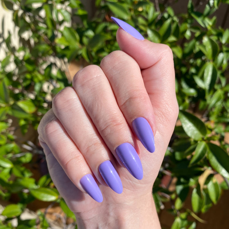 picture of Bold & Unshaken - Press-On | Long | Almond