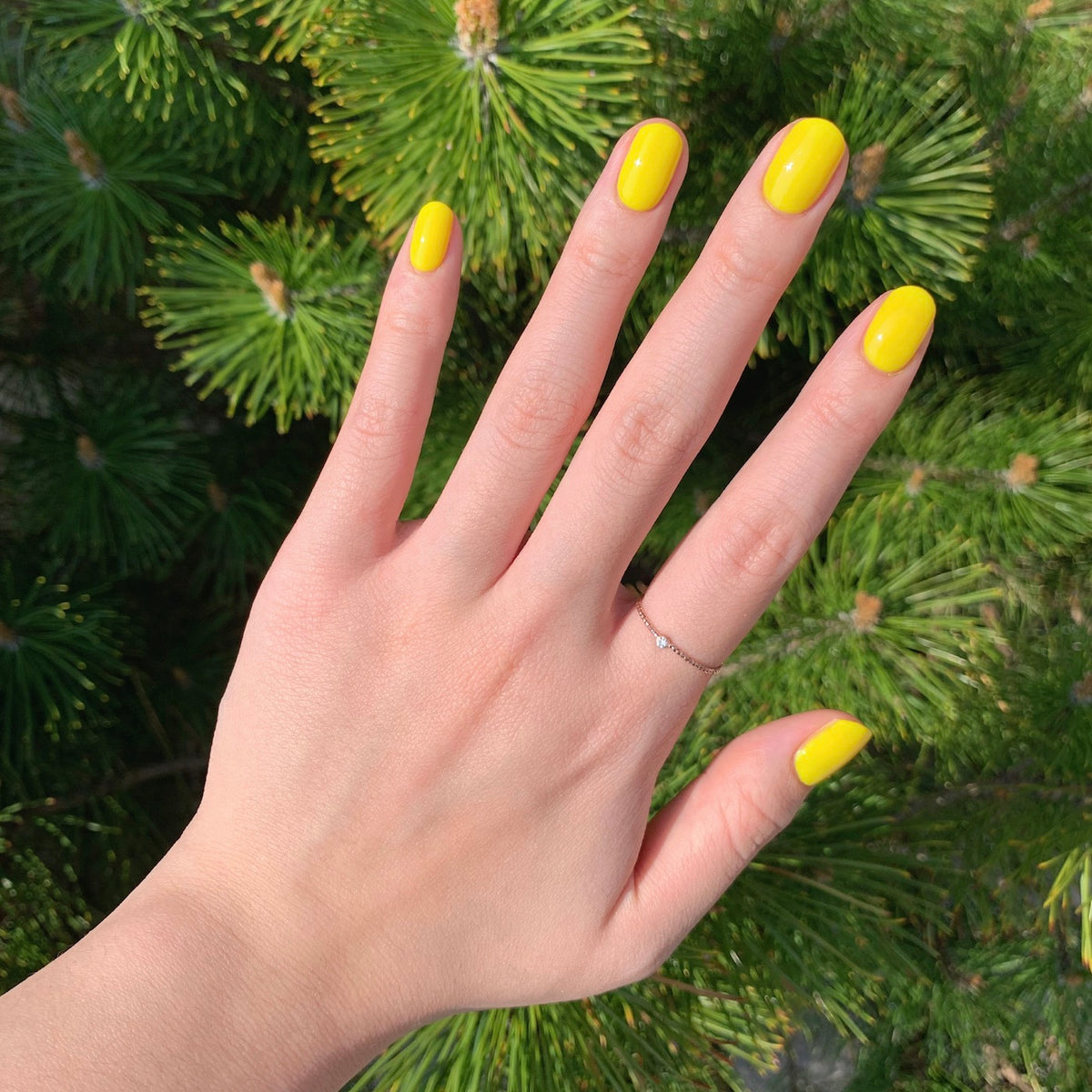 Hand with nails painted in bright Lemony Lemon polish showing glossy manicure outdoors near green pine branches
