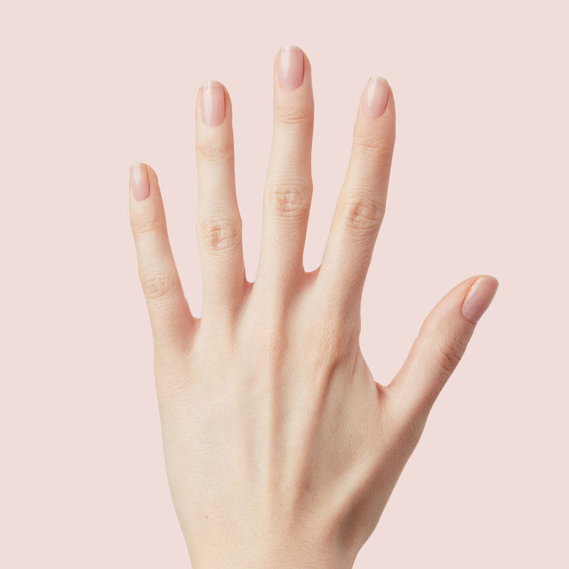 The Queen Takes her Tea with Milk a Sheer Neutrals polish The Queen Takes her Tea with Milk