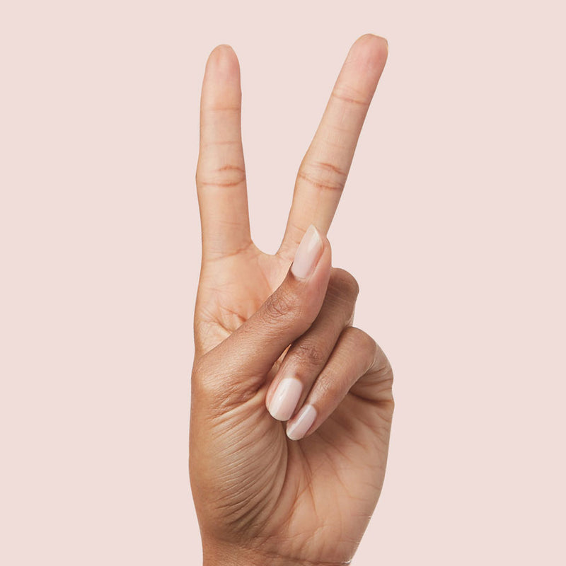 The Queen Takes her Tea with Milk a Pastels Neutrals  The Queen Takes her Tea with Milk