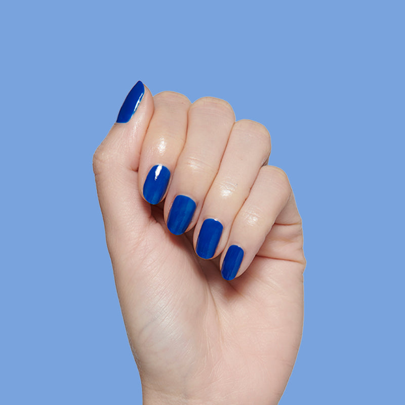 Blueberry Muffin a Creme Blues  Blueberry Muffin