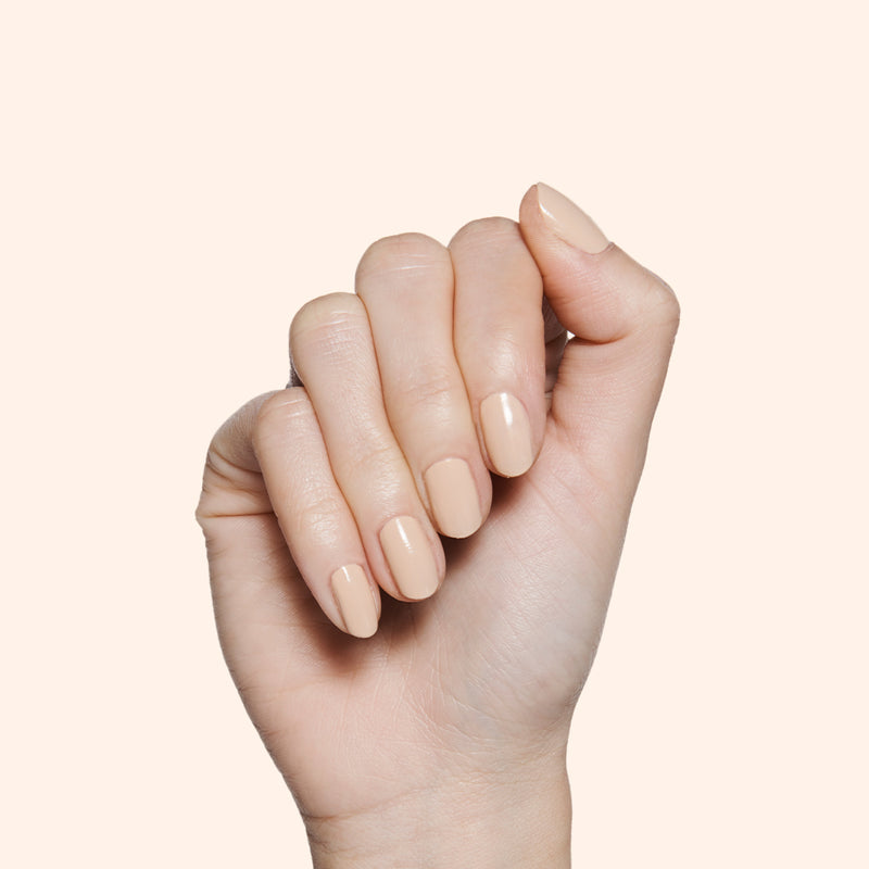 Coffee Milk a Creme Neutrals  Coffee Milk