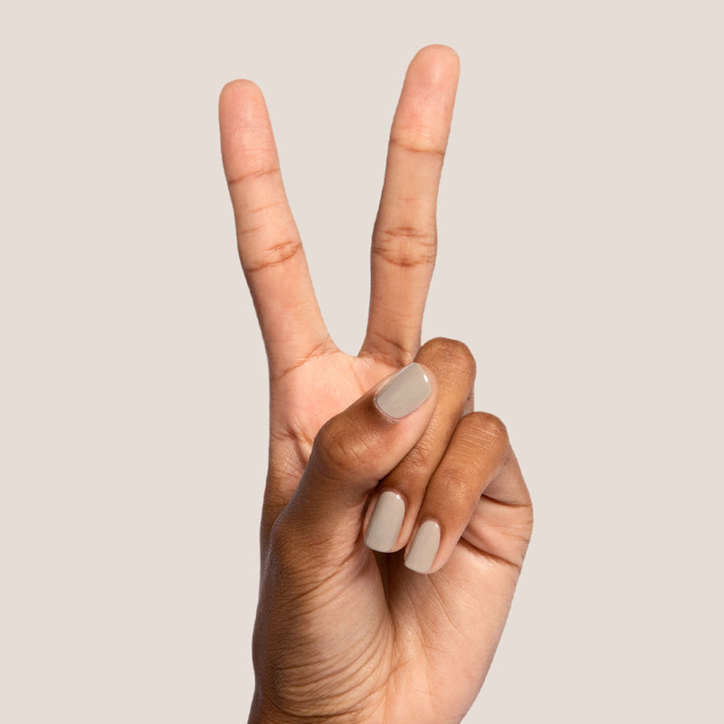 Koala a Creme Greys  Koala