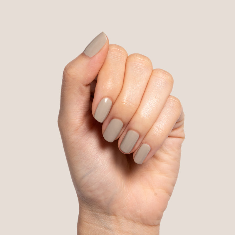 Koala a Opaque Greys polish Koala