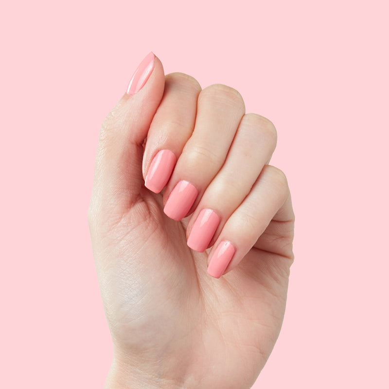 The Summer Polish Set