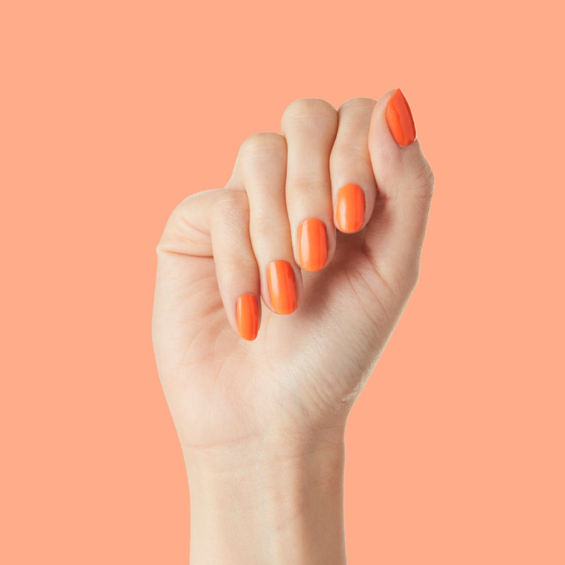 Orange Wedge a Nearly Neon Oranges  Orange Wedge