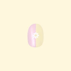Colorblock Daisy | Round | Short