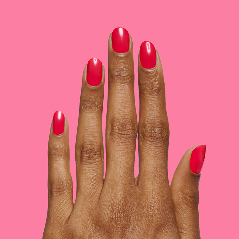 Hibiscus a Creme Reds  Hibiscus