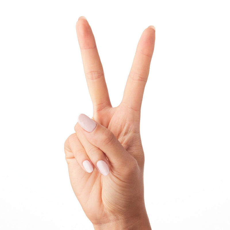 Point Dume a Creme Neutrals  Point Dume