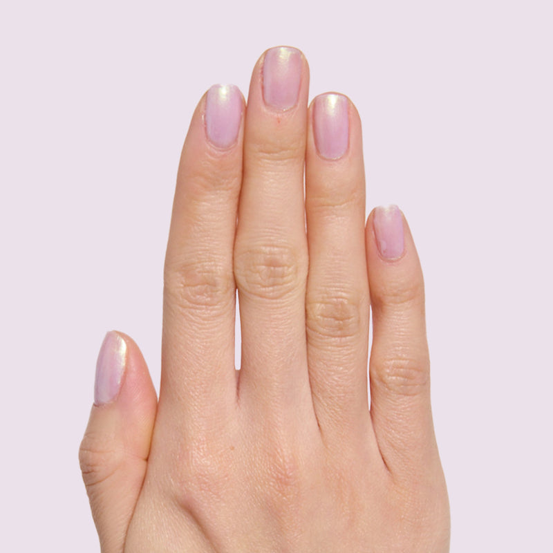 Purple Puka a Iridescent Purples  Purple Puka