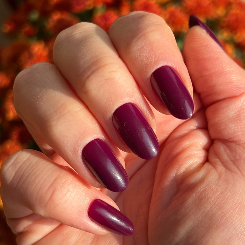 picture of Plaza | Oval | Medium