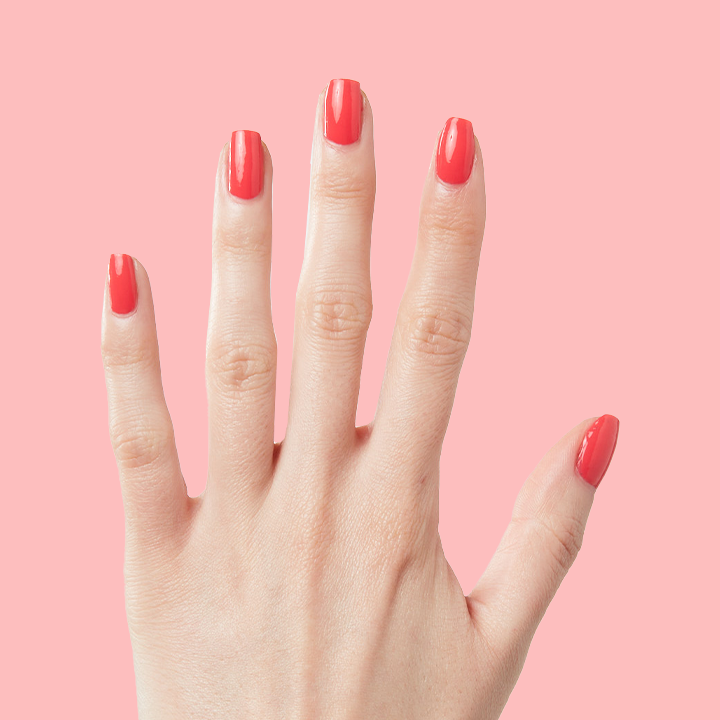 Field Day Olive and June