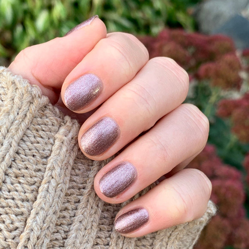 picture of Sundance Shimmer