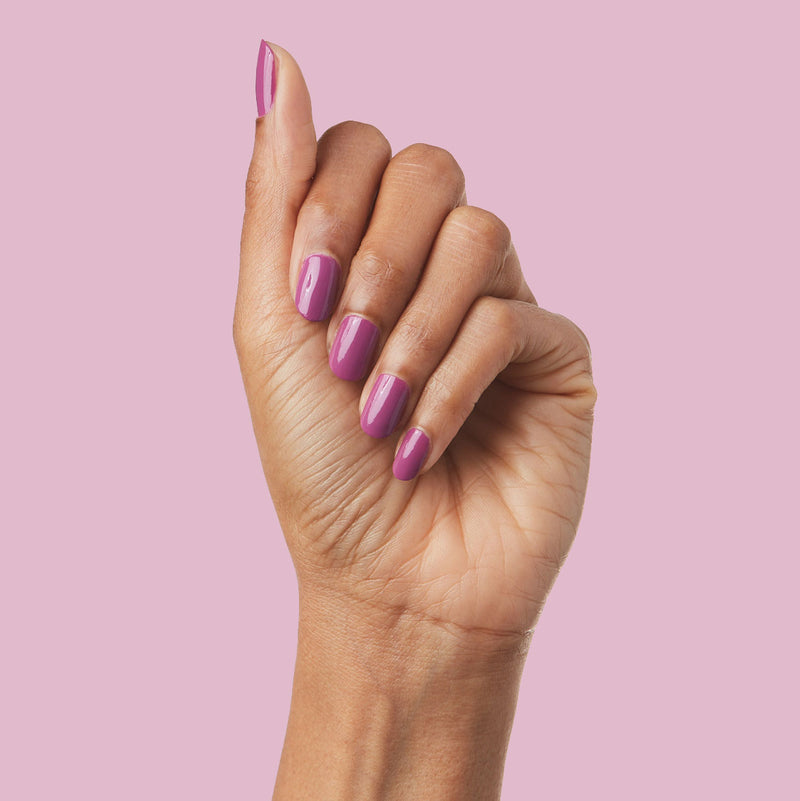 The Lazy Genius Trio