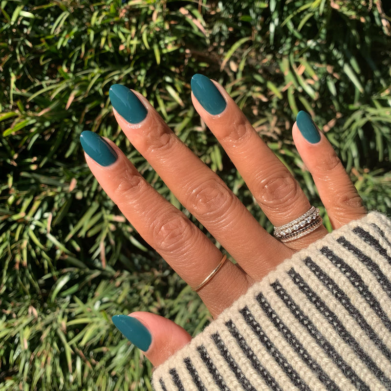 picture of Into the Trees