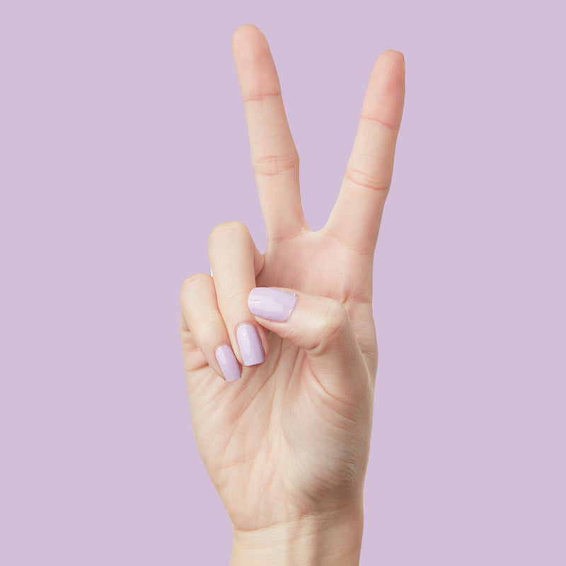 You're Invited a Creme Purples  You're Invited