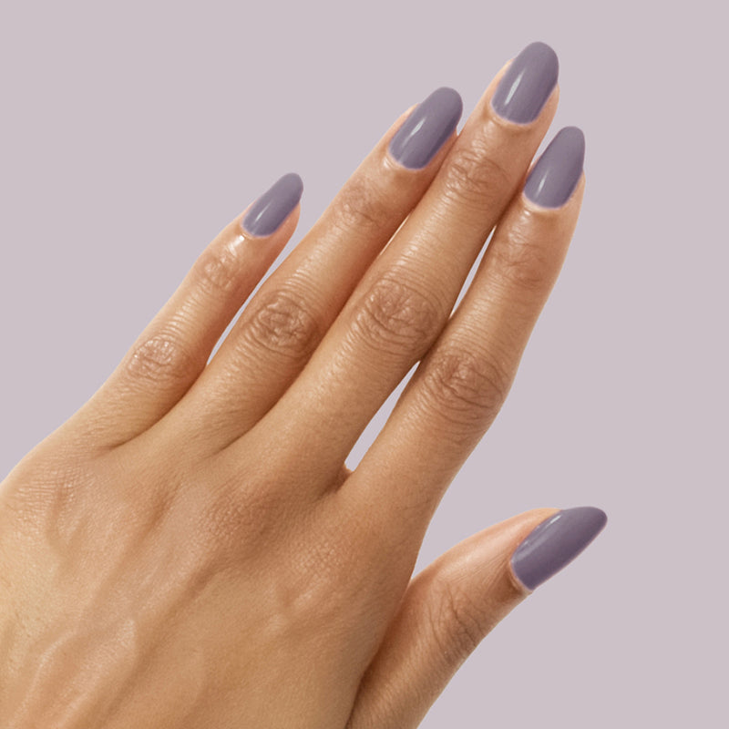 Art Class a Creme Purples  Art Class