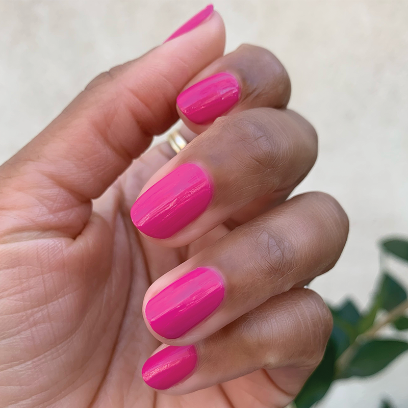 picture of WILD ORCHID