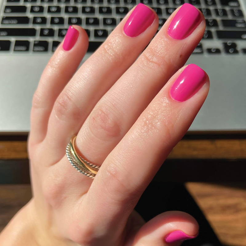 picture of WILD ORCHID